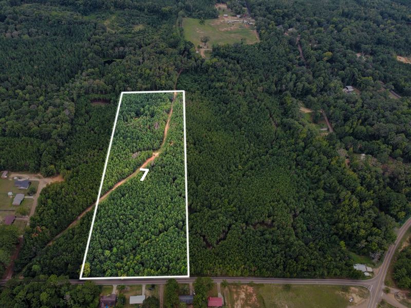 12.97 Lot in Attala, MS : Kosciusko : Attala County : Mississippi
