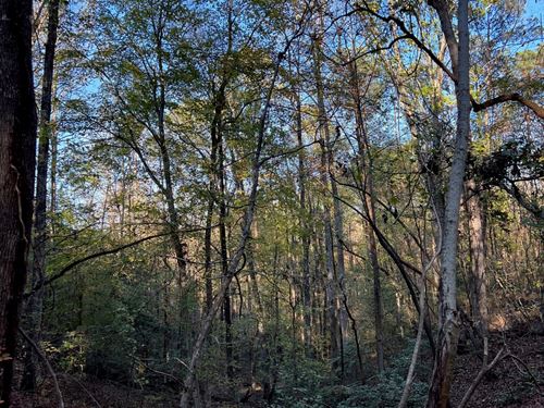 117 Mt. Nebo Rd. Tract : Marion : Perry County : Alabama