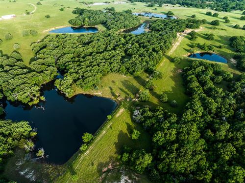 Circle B Ranch : Sunset : Montague County : Texas