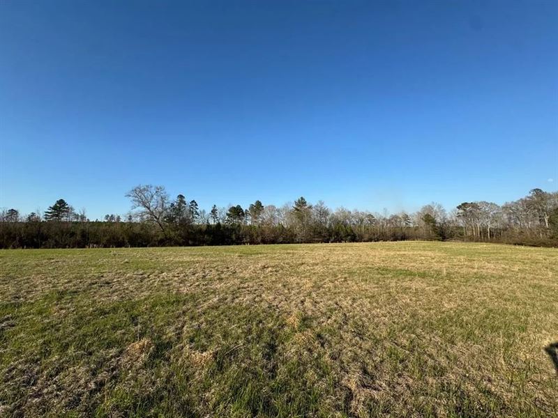 50 Acres On Duckworth Rd, Sontag : Sontag : Lawrence County : Mississippi
