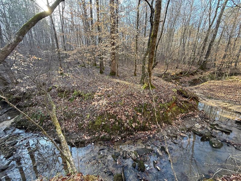 180 Ac Liberty Rd : Pinkneyville : Clay County : Alabama