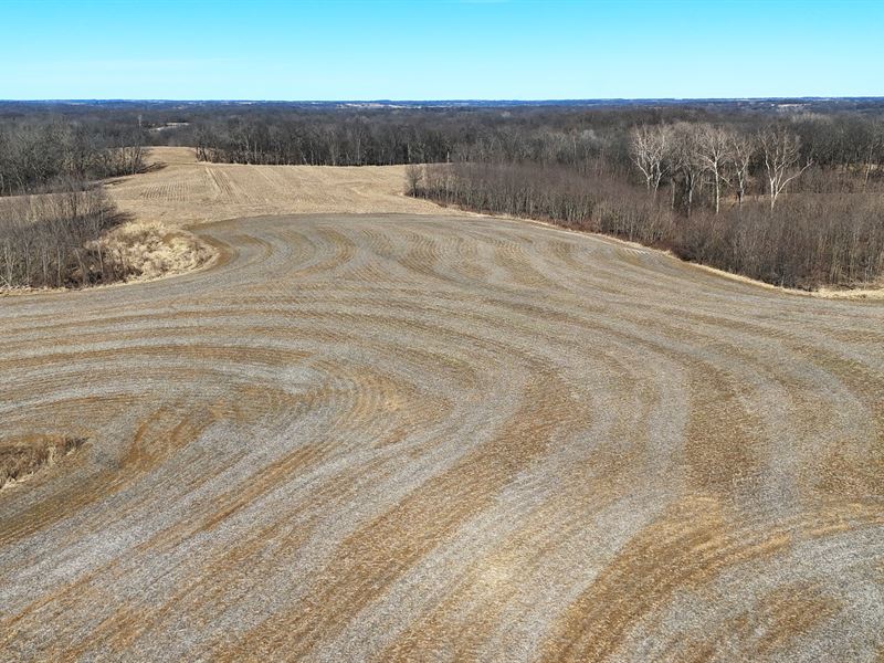 1141 Acres Pike Co Hunting Paradise : Barry : Pike County : Illinois