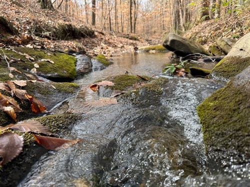 178.71 Acres, In Camp Hill, Tallapo : Camp Hill : Tallapoosa County : Alabama