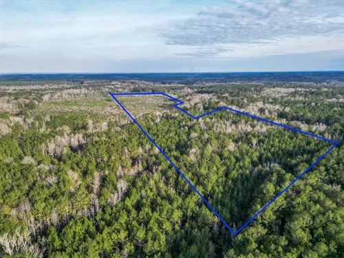 Land For Sale In Amite County, MS : Liberty : Amite County : Mississippi