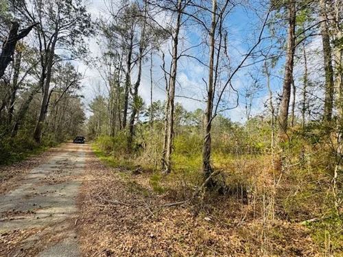 40 Acres On Fortenberry Dr, Columb : Columbia : Marion County : Mississippi