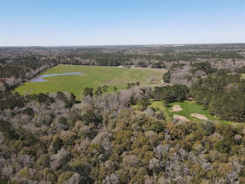 Land For Sale, Dale Co AL 133 ac : Newton : Dale County : Alabama