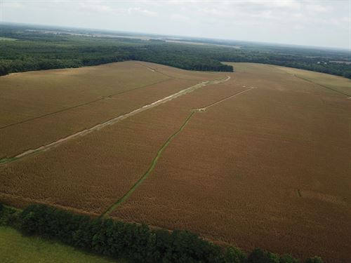 La, West Carroll 420 Acres : Oak Grove : West Carroll Parish : Louisiana