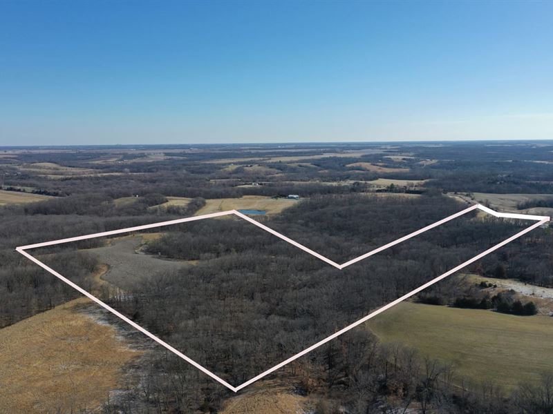 55 Acres M/L, Van Buren County : Birmingham : Van Buren County : Iowa