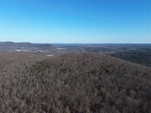 Big Bluff 80 : Pleasant Grove : Stone County : Arkansas