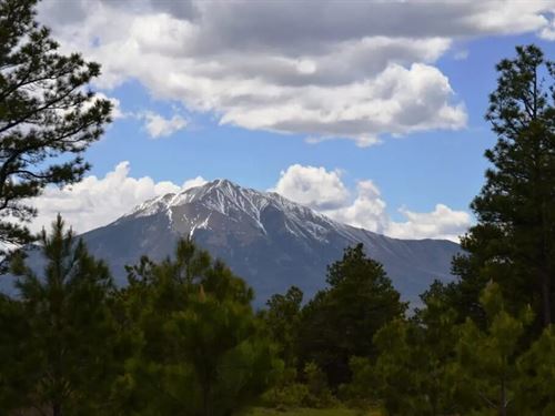 107 Blackhawk Ranch : Walsenburg : Huerfano County : Colorado