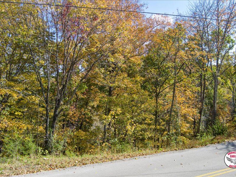 67 +/- Acres, Near Wolf Creek Dam : Albany : Clinton County : Kentucky