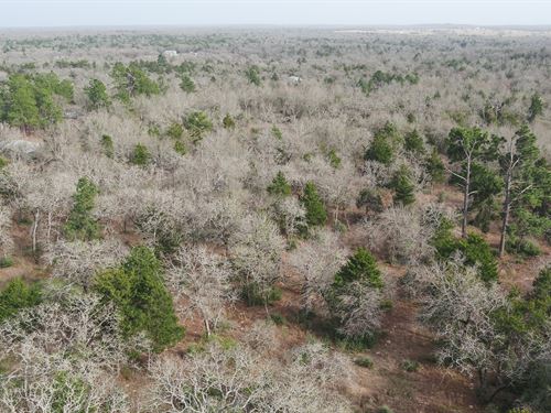 10.25 Acres in Milam County : Milano : Milam County : Texas