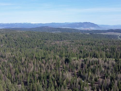 South Chandler Grande Ronde Ranch : Elgin : Union County : Oregon