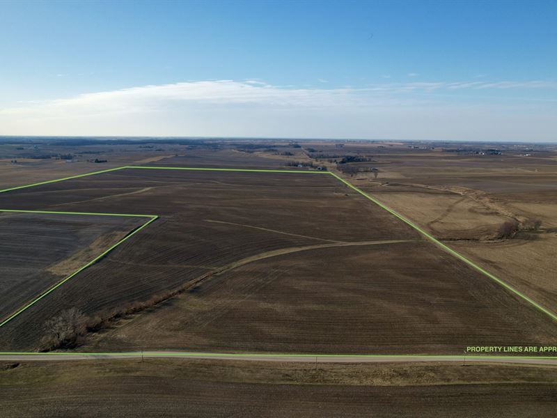 Carroll 200 Tillable : Chadwick : Carroll County : Illinois