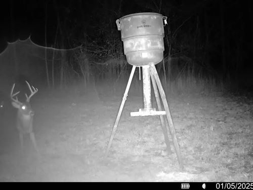 112 Acres With A Cabin In Carroll : Cruger : Carroll County : Mississippi