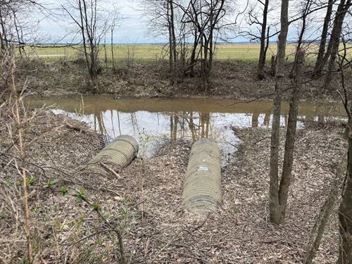 39.95 Acres In Panola County, MS : Batesville : Panola County : Mississippi