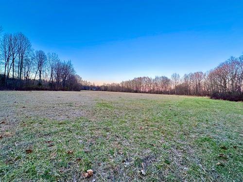 17.17 Acres In Hardeman County, TN : Toone : Hardeman County : Tennessee
