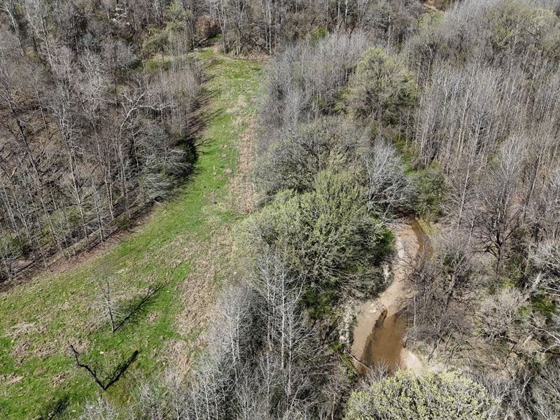 Creeks, Campsites & Trophy Wildlif : Vicksburg : Warren County : Mississippi