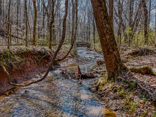 Vanns Creek Lot 9 : Rome : Floyd County : Georgia