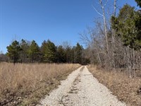 80 Acres, Springs, Creek, Pond 50X1 : Birch Tree : Shannon County : Missouri