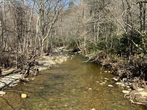 40 Acres, 2 Homes & Creek Frontage : Mouth Of Wilson : Grayson County : Virginia