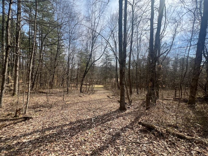 Fairview Rd, 66 Acres, Vinton Cou : New Plymouth : Vinton County : Ohio