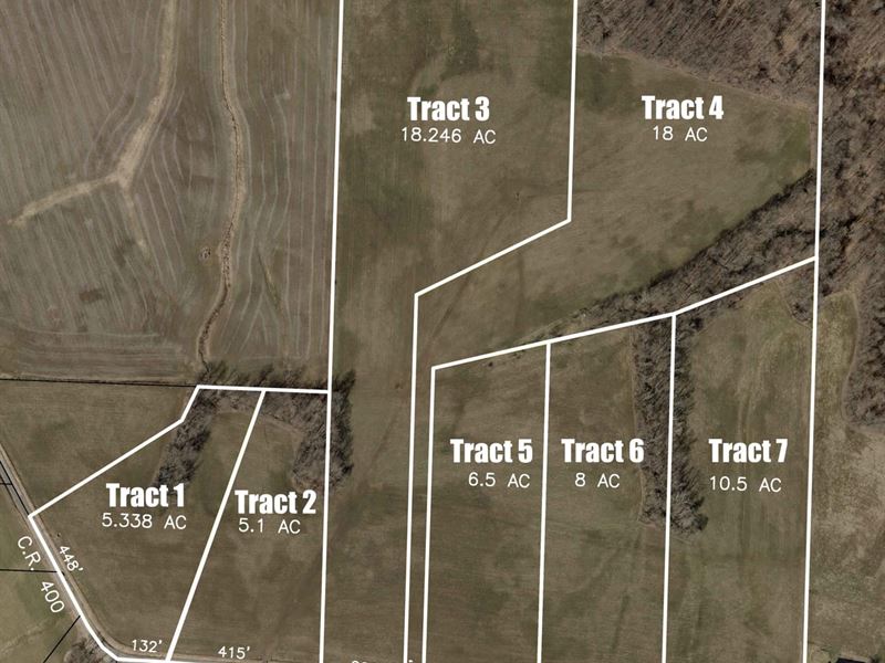 Auction, 72 Acres, Holmes County : Millersburg : Holmes County : Ohio