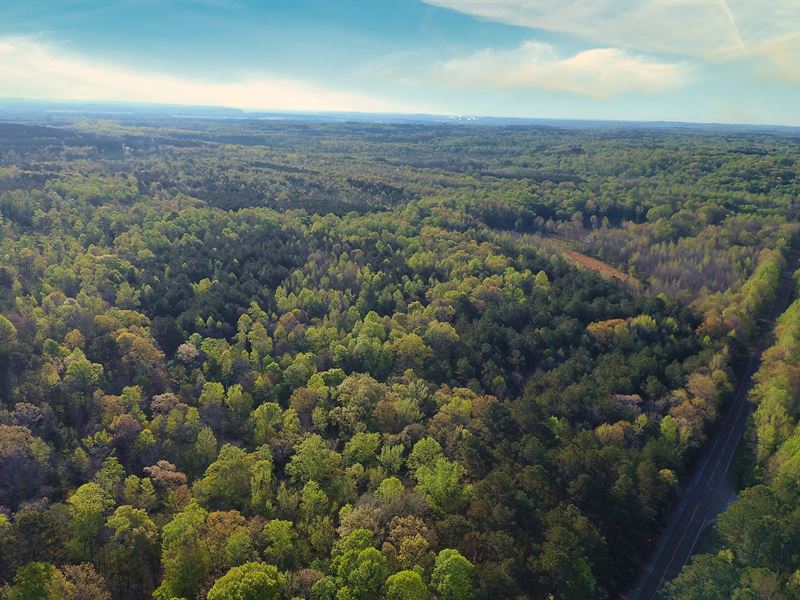Hunting Land for Sale Near TN River : Shiloh : Hardin County : Tennessee