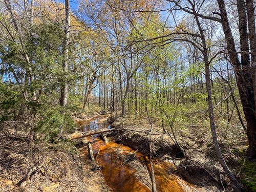 19.9 Acres, T-7, United Gas Road : Rodessa : Caddo Parish : Louisiana