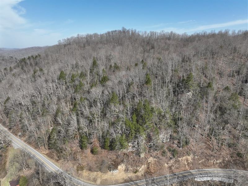 Updated, 21 Acres of Residential : Honaker : Buchanan County : Virginia