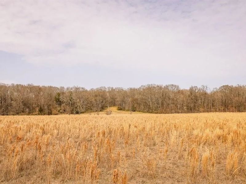 Land for Sale in Warren County, MS : Vicksburg : Warren County : Mississippi