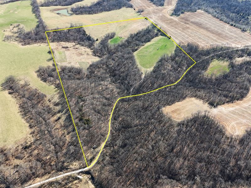 45 Acres Pike Co Pleasant Vale Twp : New Canton : Pike County : Illinois