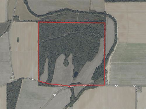 La, West Carroll 160 Acres : Epps : West Carroll Parish : Louisiana