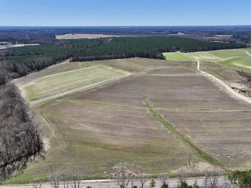 210 Acres of Farmland and Timberlan : Whitakers : Nash County : North Carolina