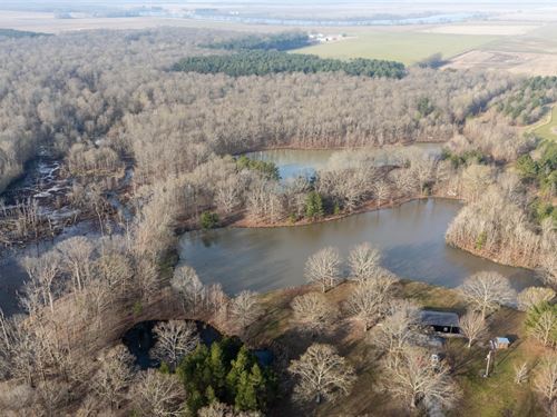 Honey Creek : Devalls Bluff : Prairie County : Arkansas