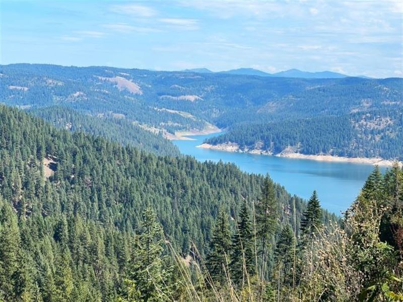 Hunting Haven at Dworshak : Lenore : Clearwater County : Idaho