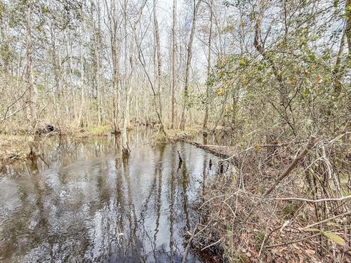 79 Ac Wooded Homesite With Creek : Bonifay : Holmes County : Florida