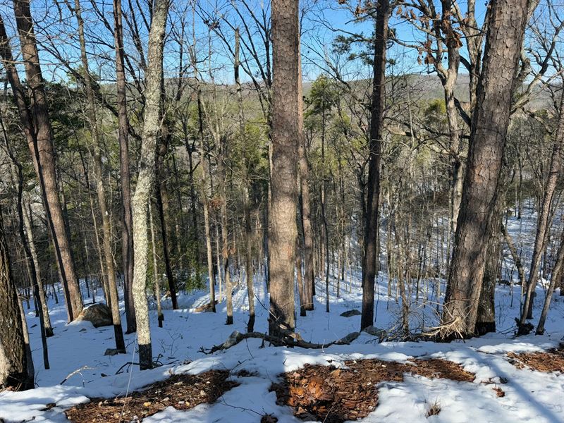 66 Acres on Park Avenue / Hot Sp : Hot Springs : Garland County : Arkansas