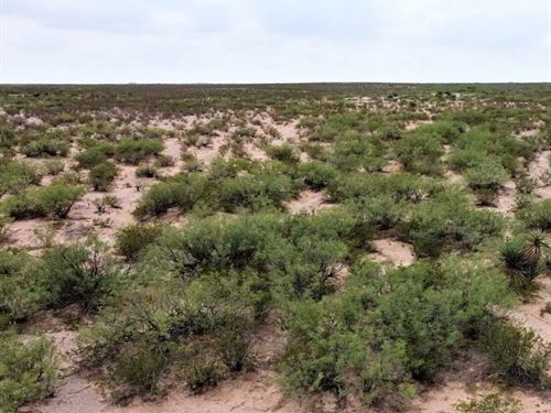 35 Acres in Pecos County, TX : Imperial : Pecos County : Texas