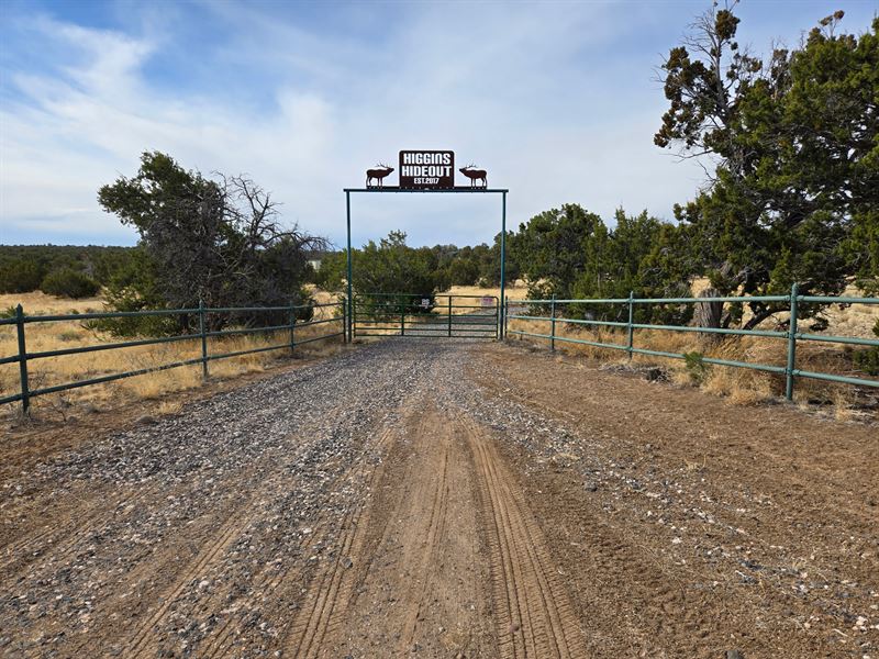 Higgins Hideout : Fence Lake : Cibola County : New Mexico