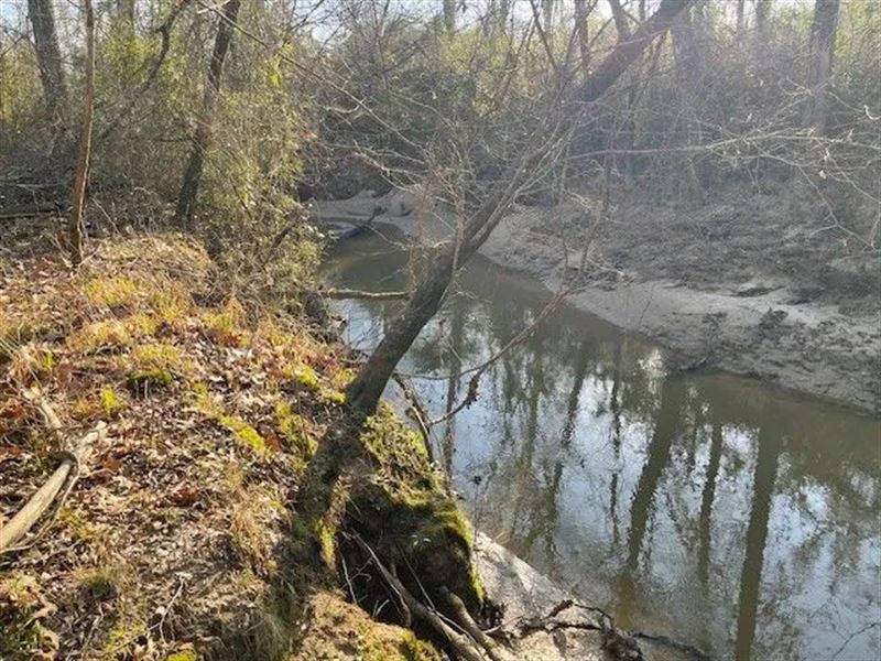 412 Acres in Rankin County On Woodr : Brandon : Rankin County : Mississippi