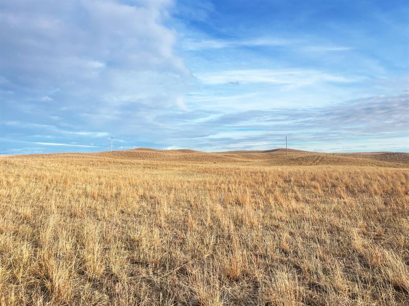 187 Acres, Cherry County, Secluded : Valentine : Cherry County : Nebraska