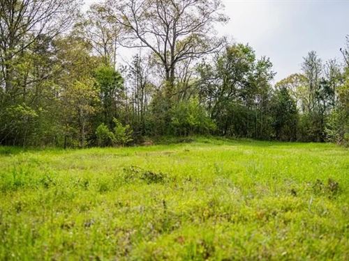 Affordable Property in Woodville : Woodville : Wilkinson County : Mississippi