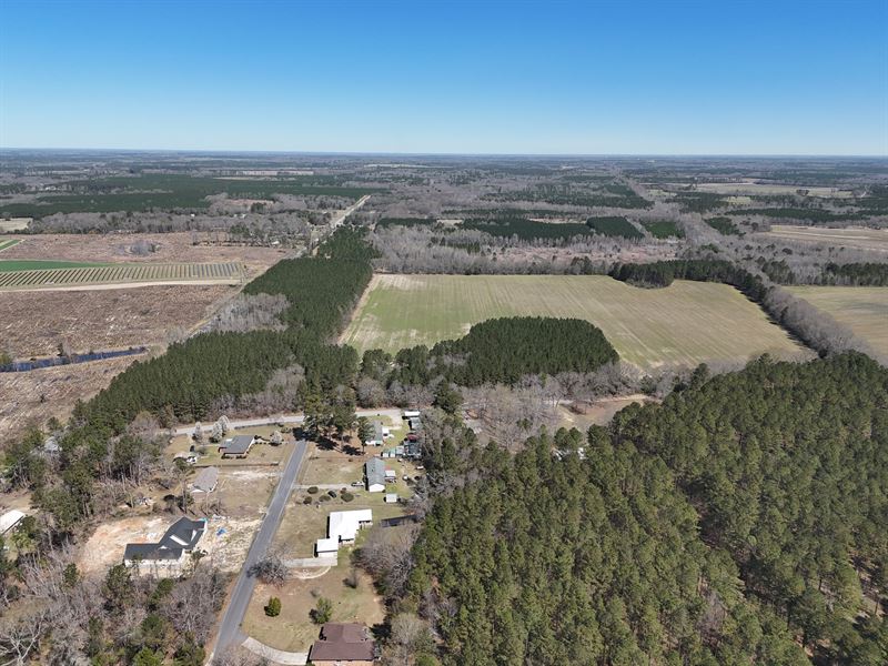 Offered Divided or as Whole : Barnwell : Barnwell County : South Carolina