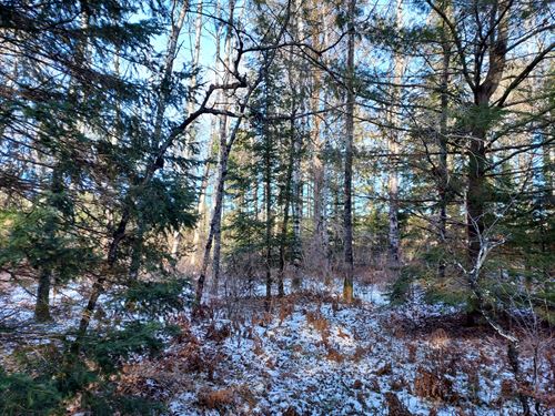 10 Acres Near Lakes, Rivers, Public : Phillips : Price County : Wisconsin