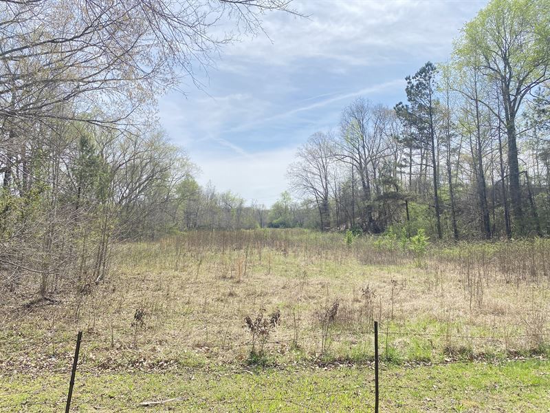 Unrestricted Land for Sale To Build : Adamsville : Hardin County : Tennessee