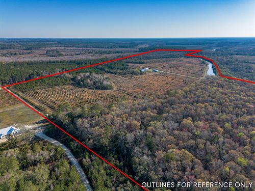 Tract 1, 71 Acres West Glynn Farm : Brunswick : Glynn County : Georgia