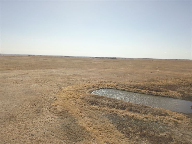 82.07 Acres-Hand County Pasture : Orient : Hand County : South Dakota