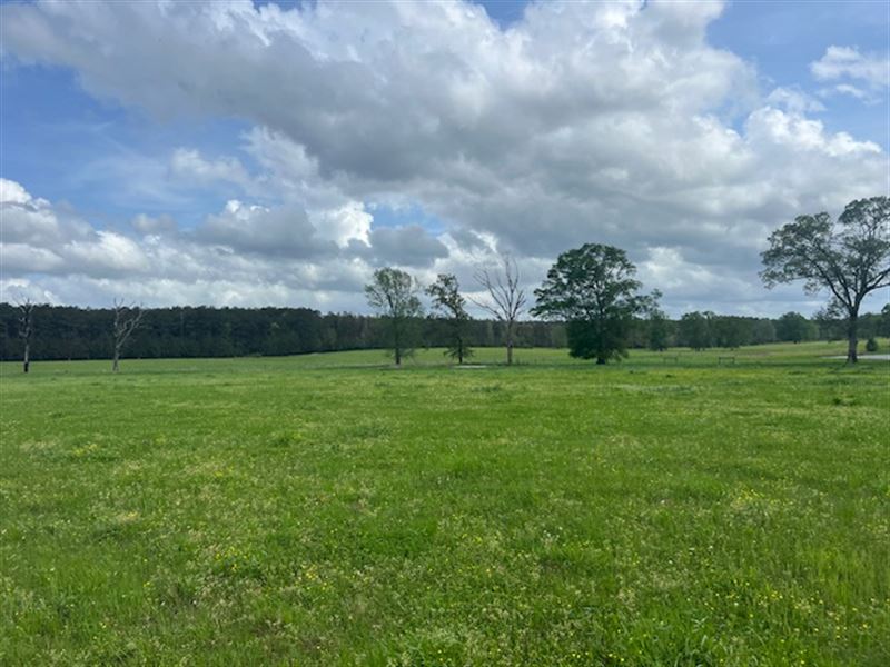 Pasture Land for Sale : Smithdale : Lincoln County : Mississippi