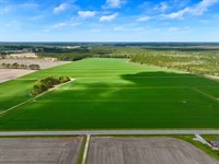 Updated, 117 Acres of Cropland fo : Washington : Beaufort County : North Carolina